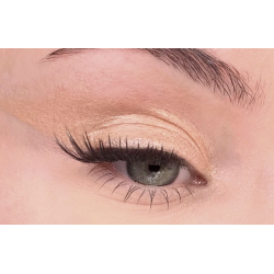 Oogschaduw potlood - All Tigers 311 Gold