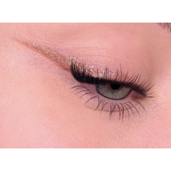 Oogschaduw potlood - All Tigers Copper - 320